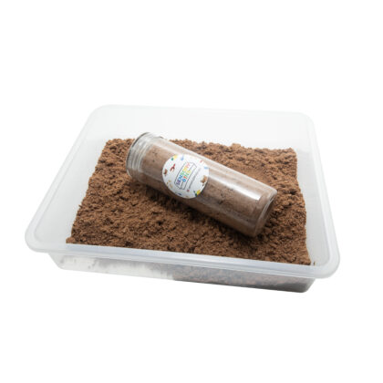 Whimsical Dirt